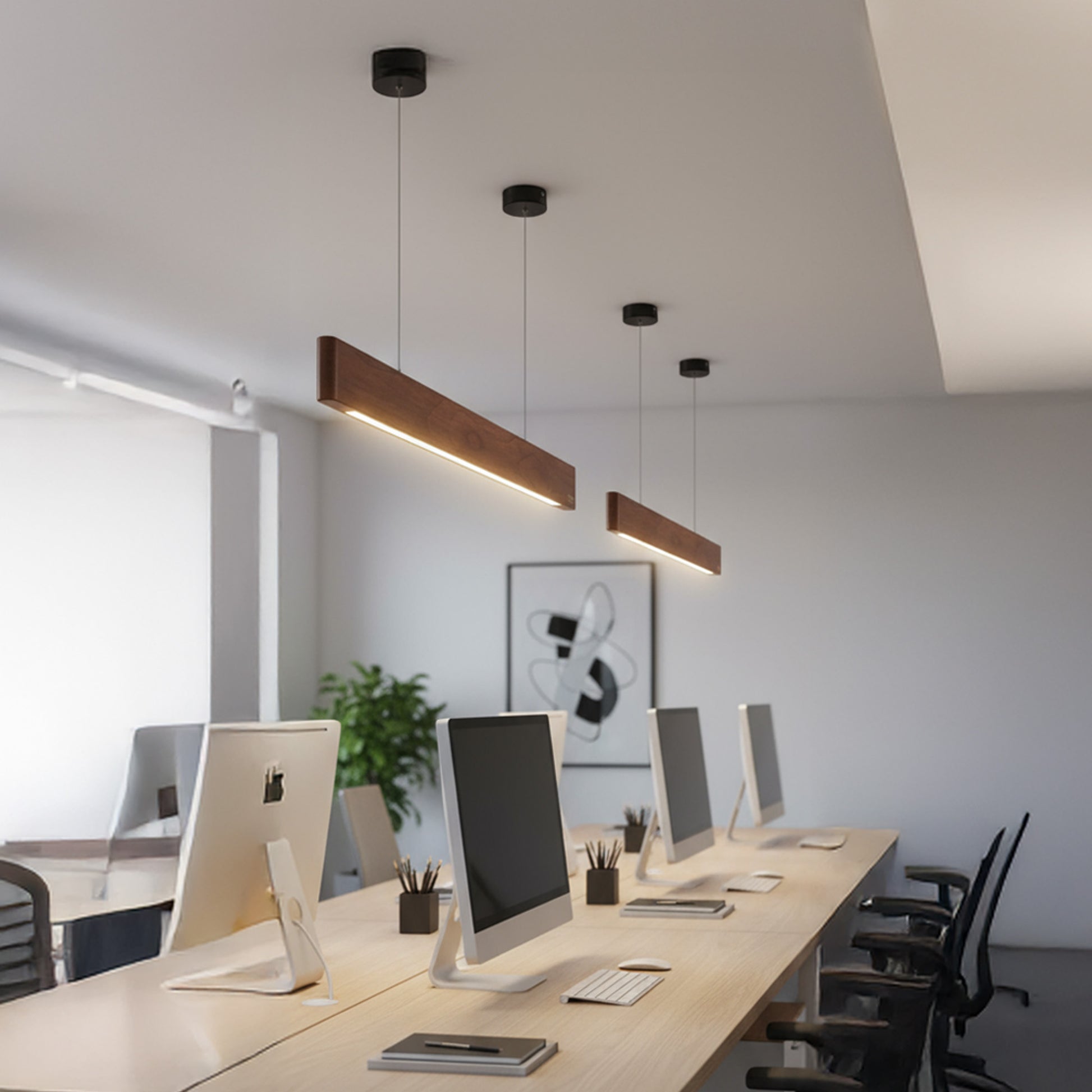The Linear Light
